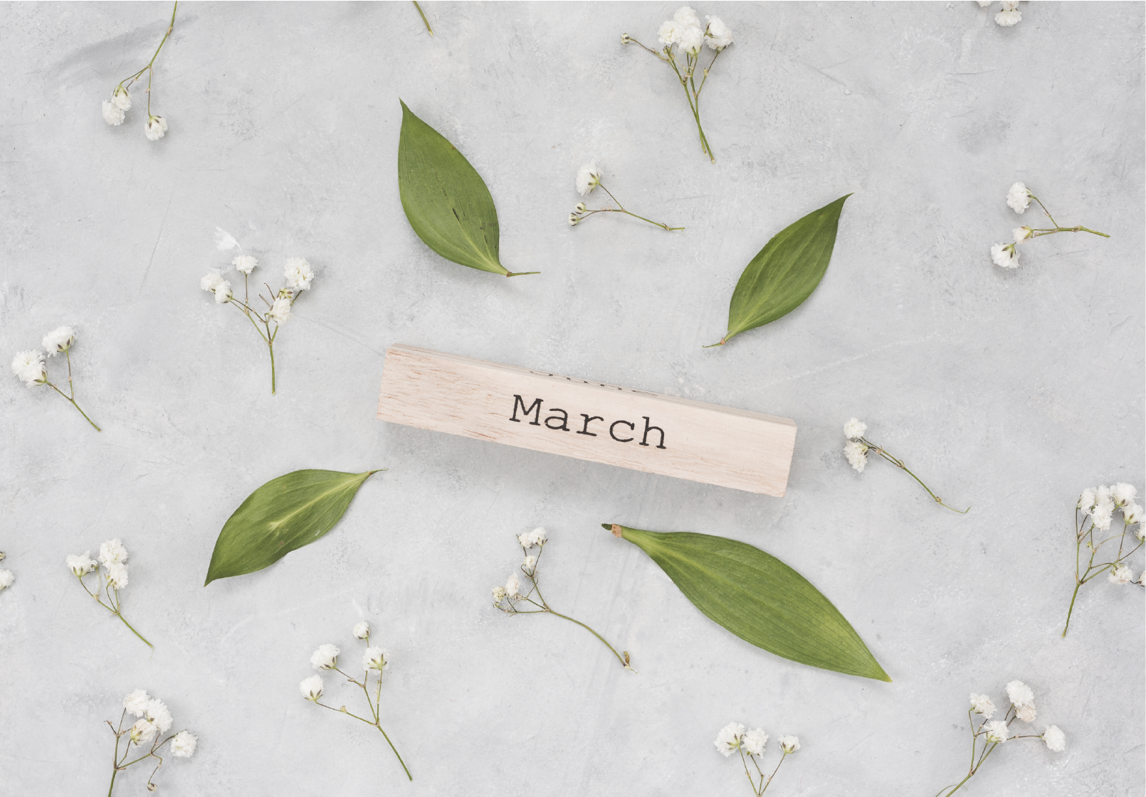 March 2020 Activities Calendar!